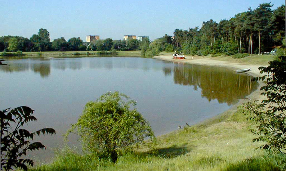 Waldschwimmbad Rüsselsheim Bild 2
