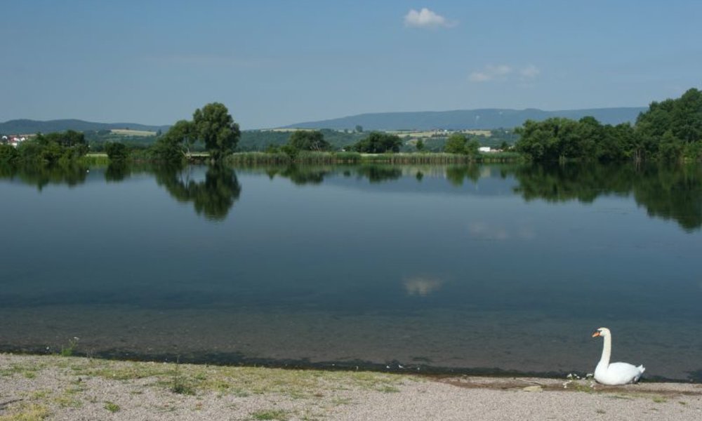 Meinhardsee